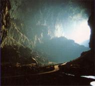 The Deer Cave